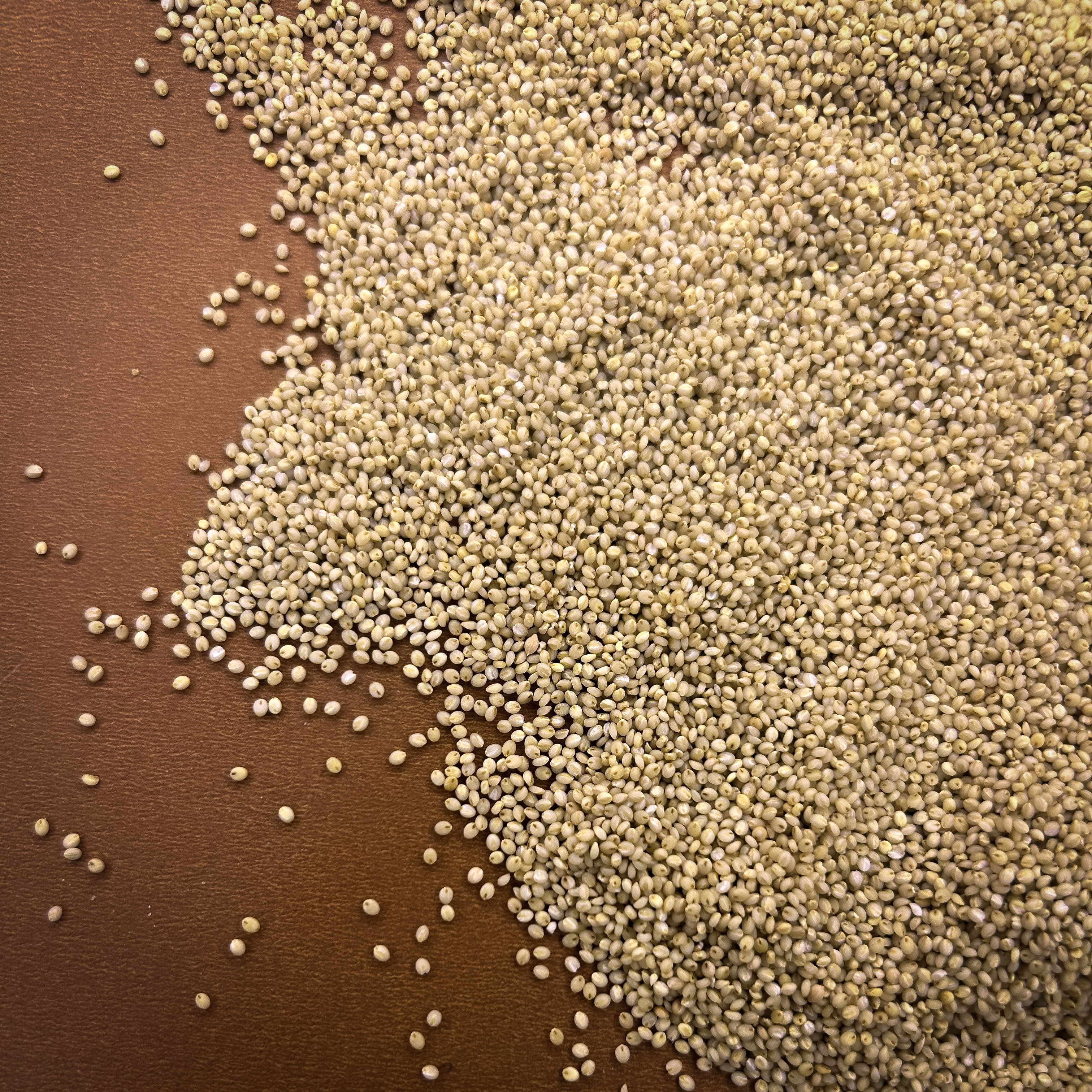 Undu Korralu - Image 3